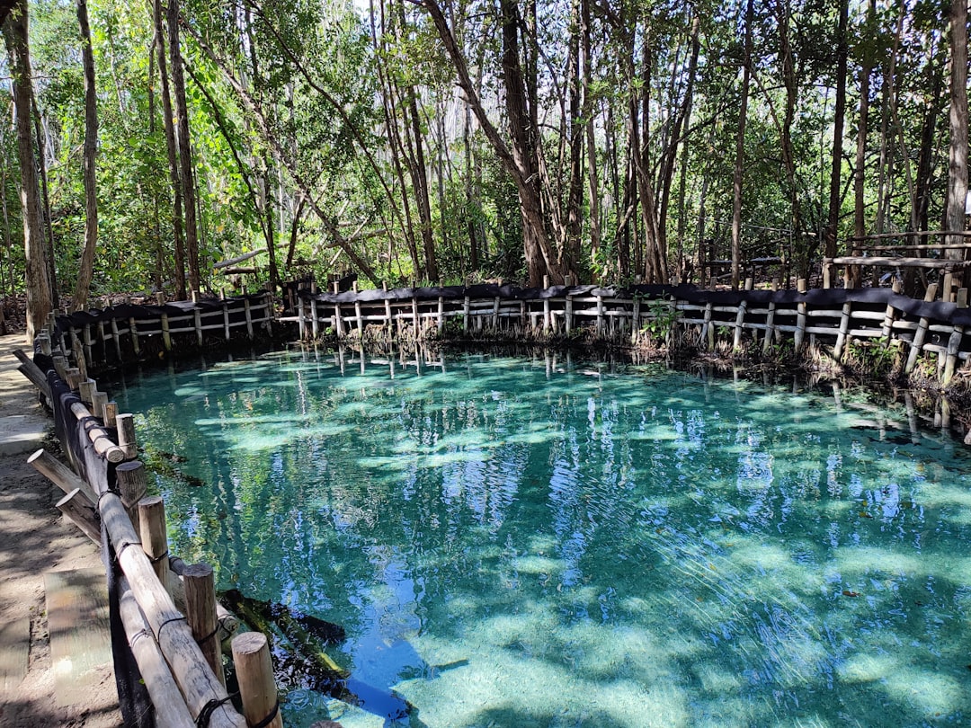 Cenote que inspiró nuestra filosofía
